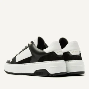 New Basket Court Women Sneakers