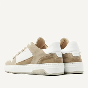 New Basket Court Sneakers