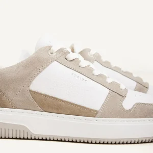 New Basket Court Sneakers