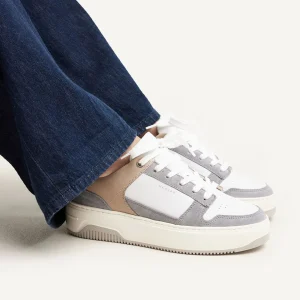 Best Basket Court Women Sneakers