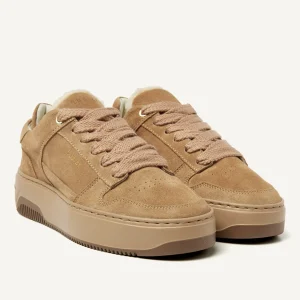 Clearance Basket Teddy Women Sneakers