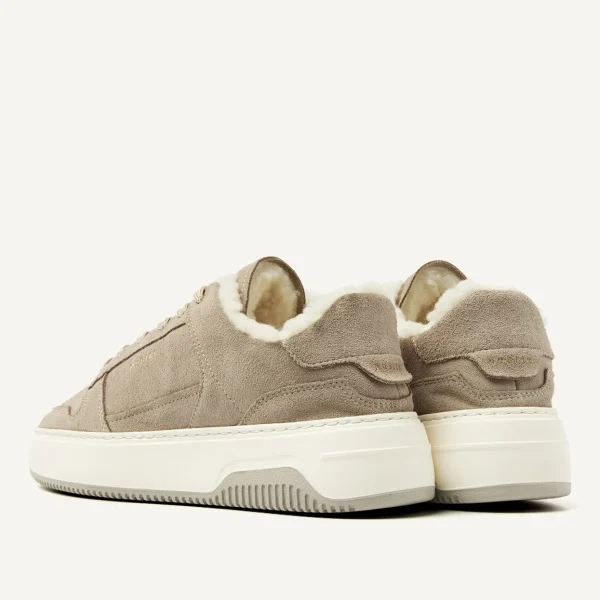 New Basket Teddy Women Sneakers