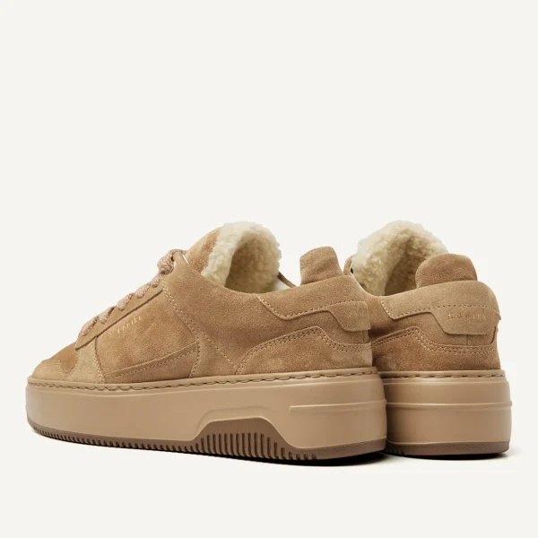 Clearance Basket Teddy Women Sneakers