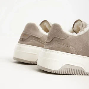 New Basket Teddy Women Sneakers