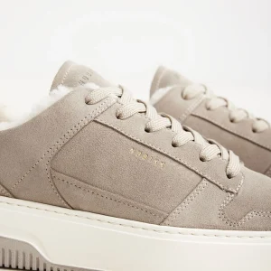 New Basket Teddy Women Sneakers