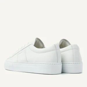 Store Jolie Morris Women Sneakers