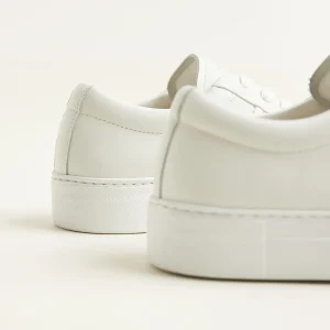 Store Jolie Morris Women Sneakers