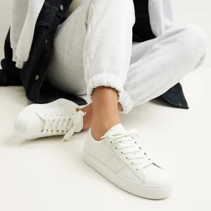 Store Jolie Morris Women Sneakers