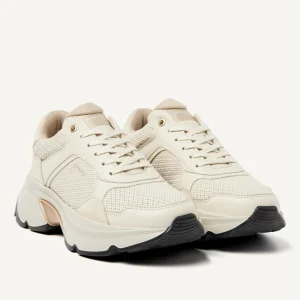 Clearance Ross Jaden Women Sneakers